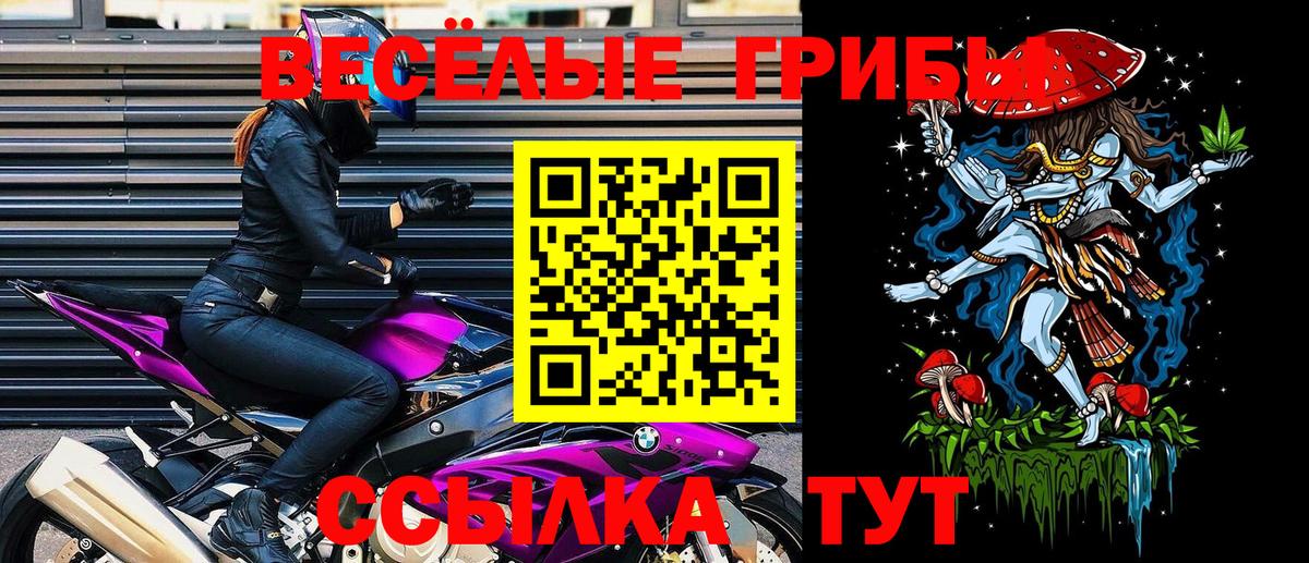 Сыктывкар  Галлюциногенные грибы ЛСД  Вход с VPN 