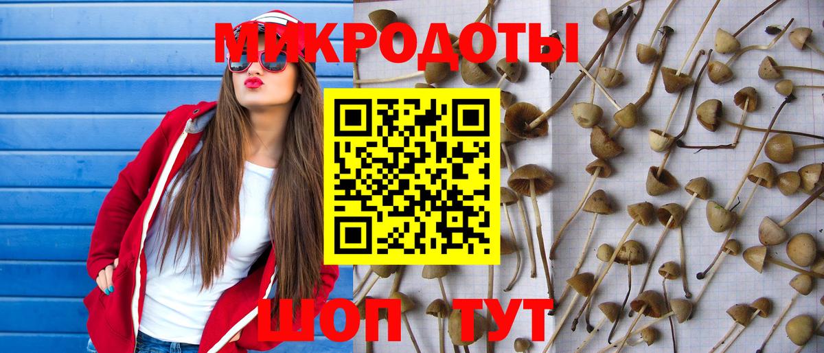 Галлюциногенные грибы Magic Shrooms Сыктывкар